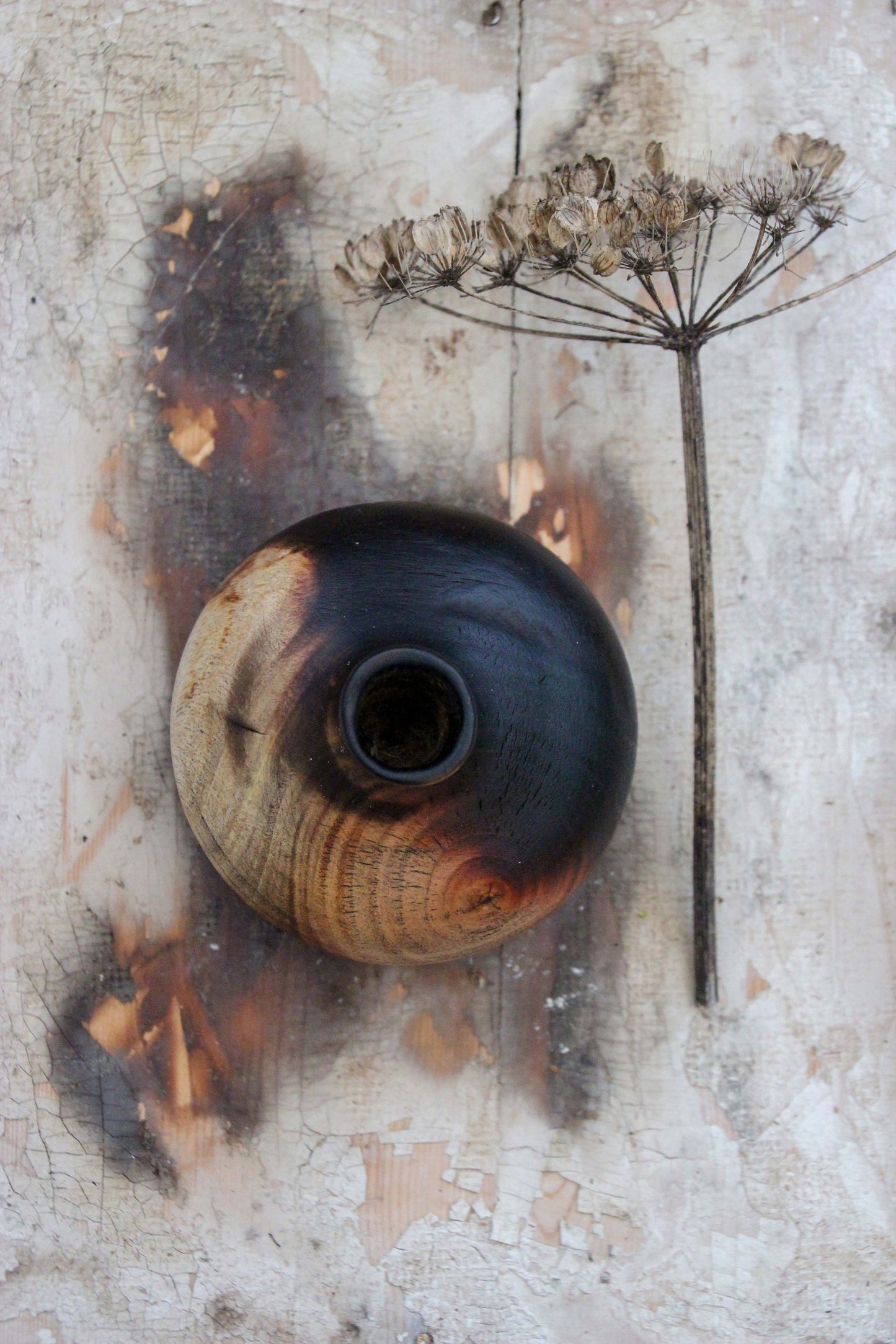Cherry Part Burnt Onion