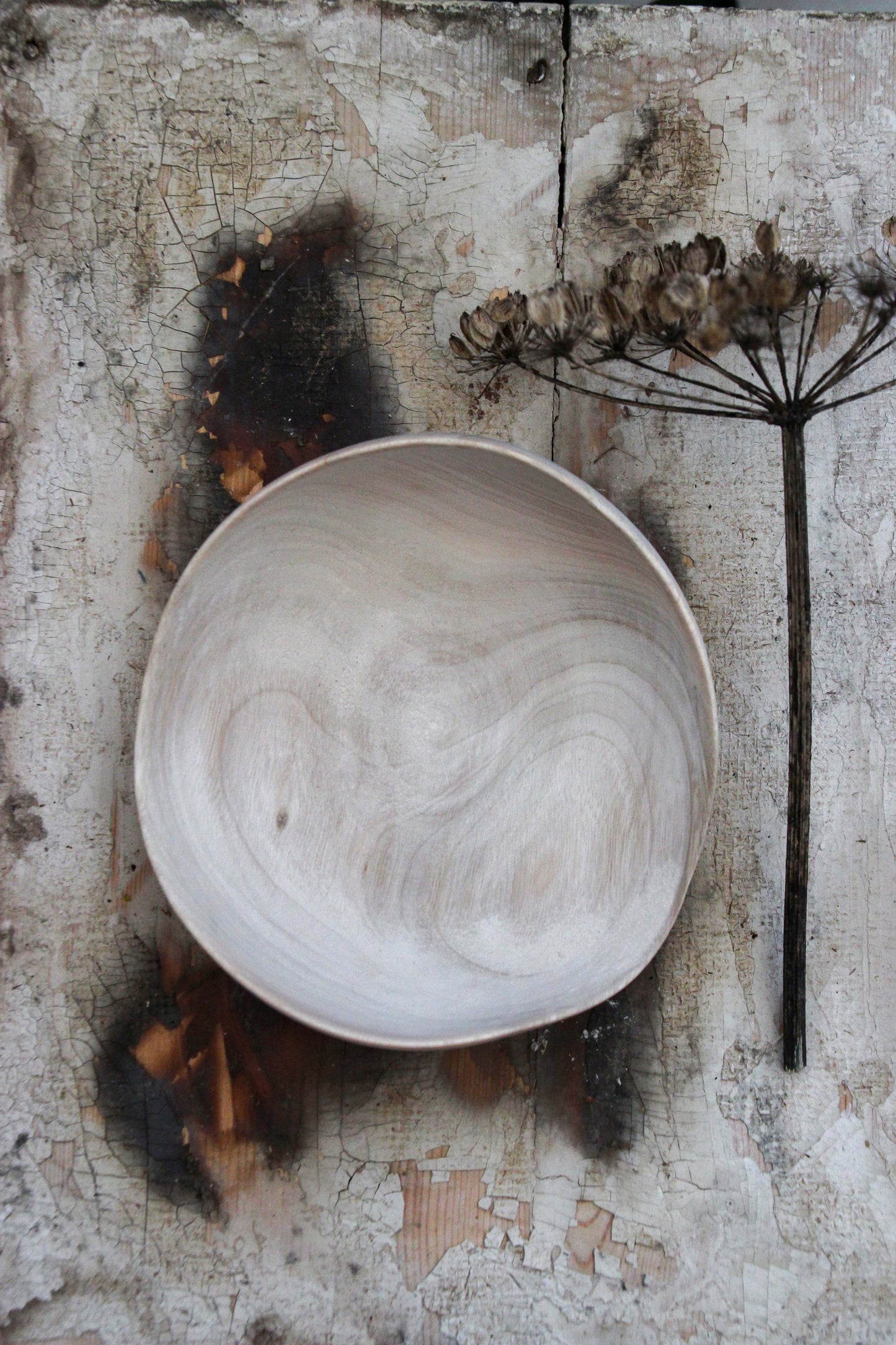 Eucalyptus Shell Bowl
