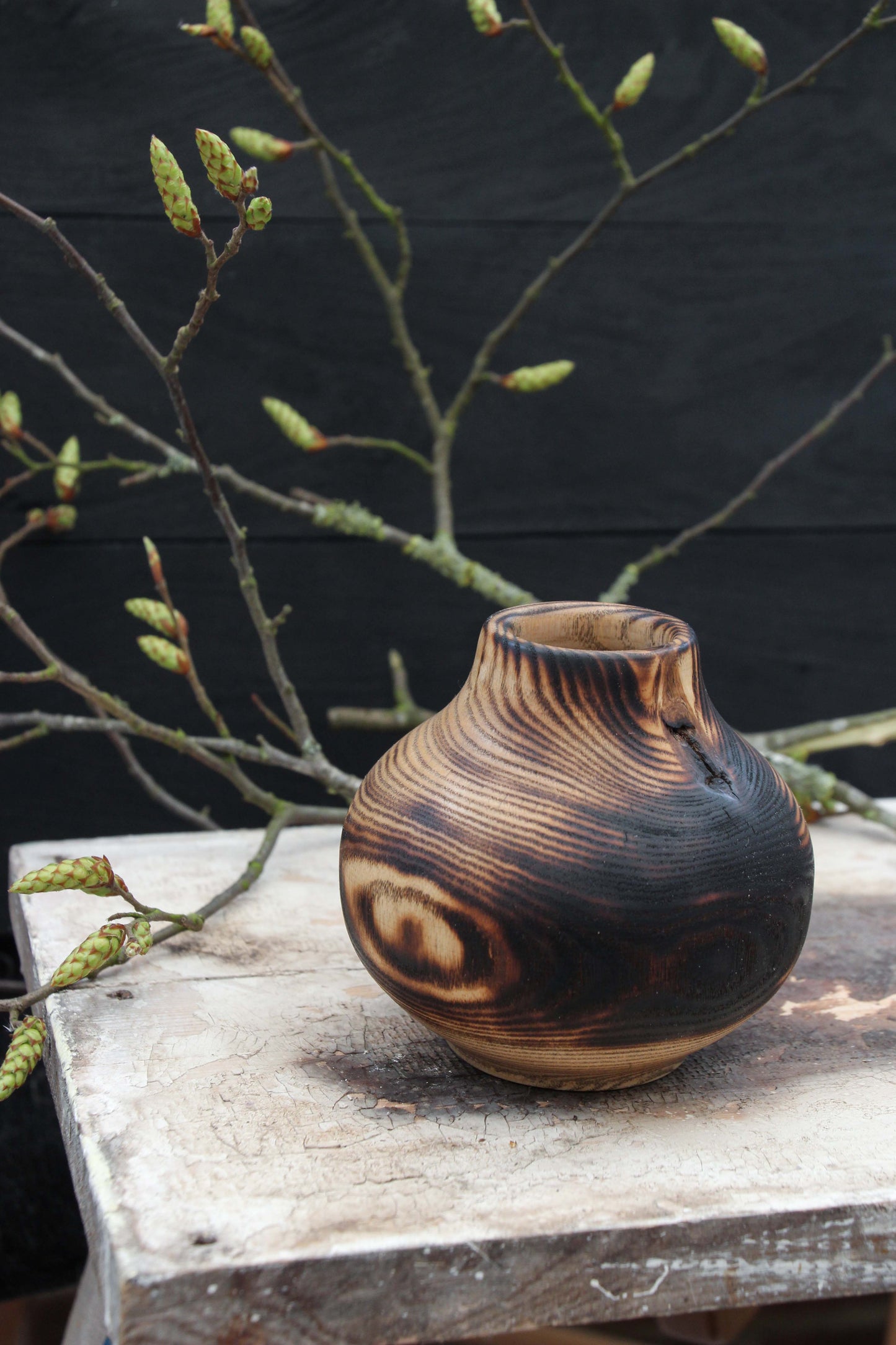 Maple Onion