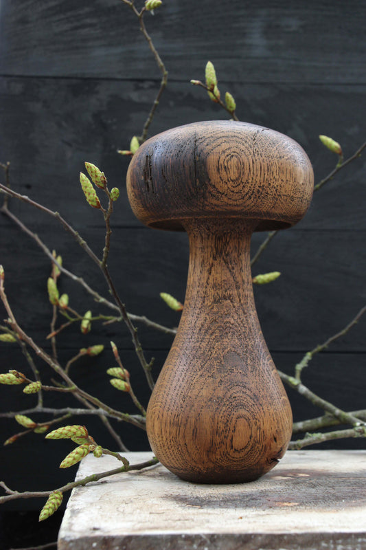 Large Oak Mushroom