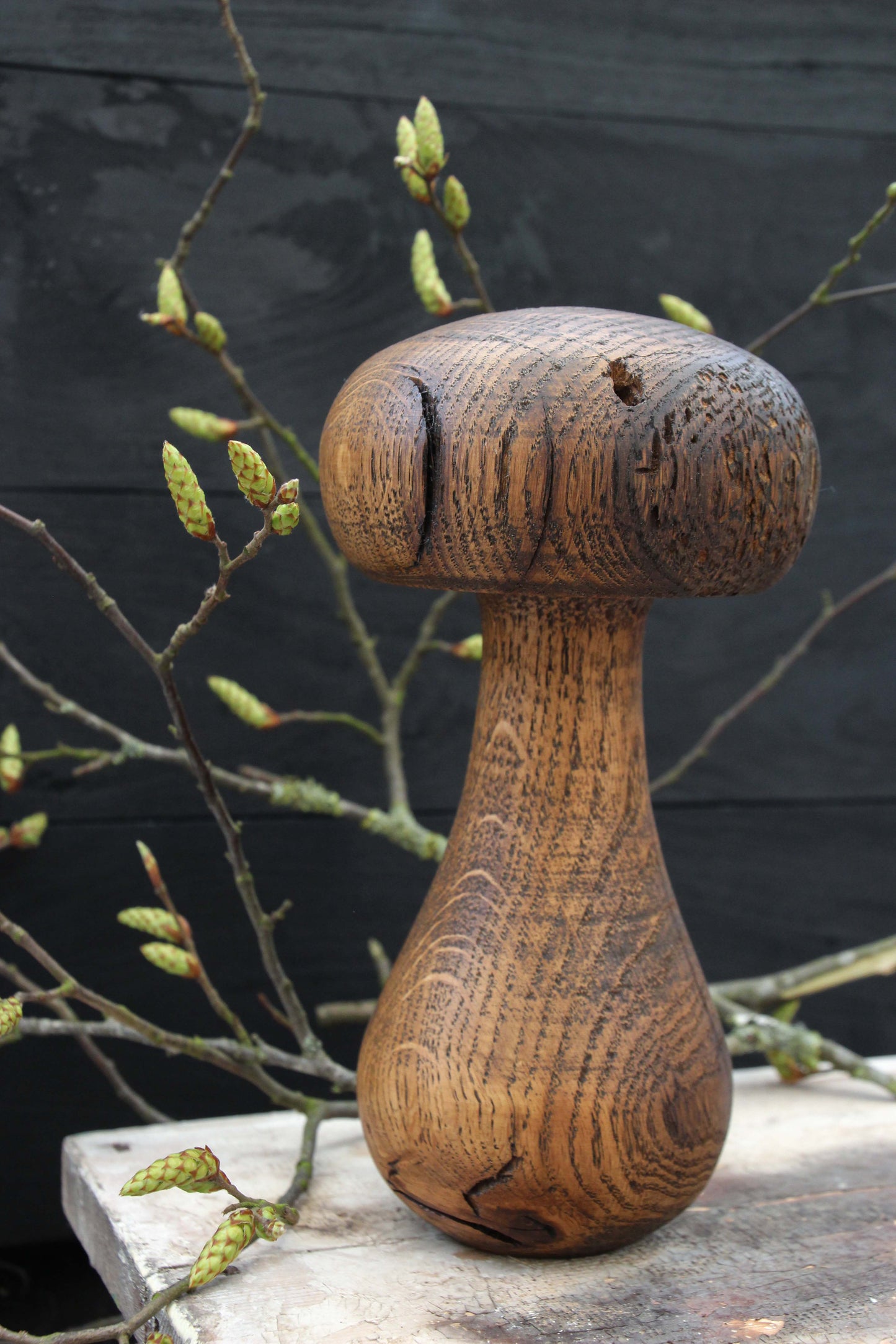 Large Oak Mushroom