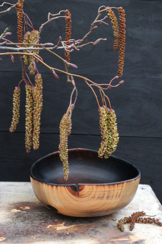 Eucalyptus Bowl of Fire