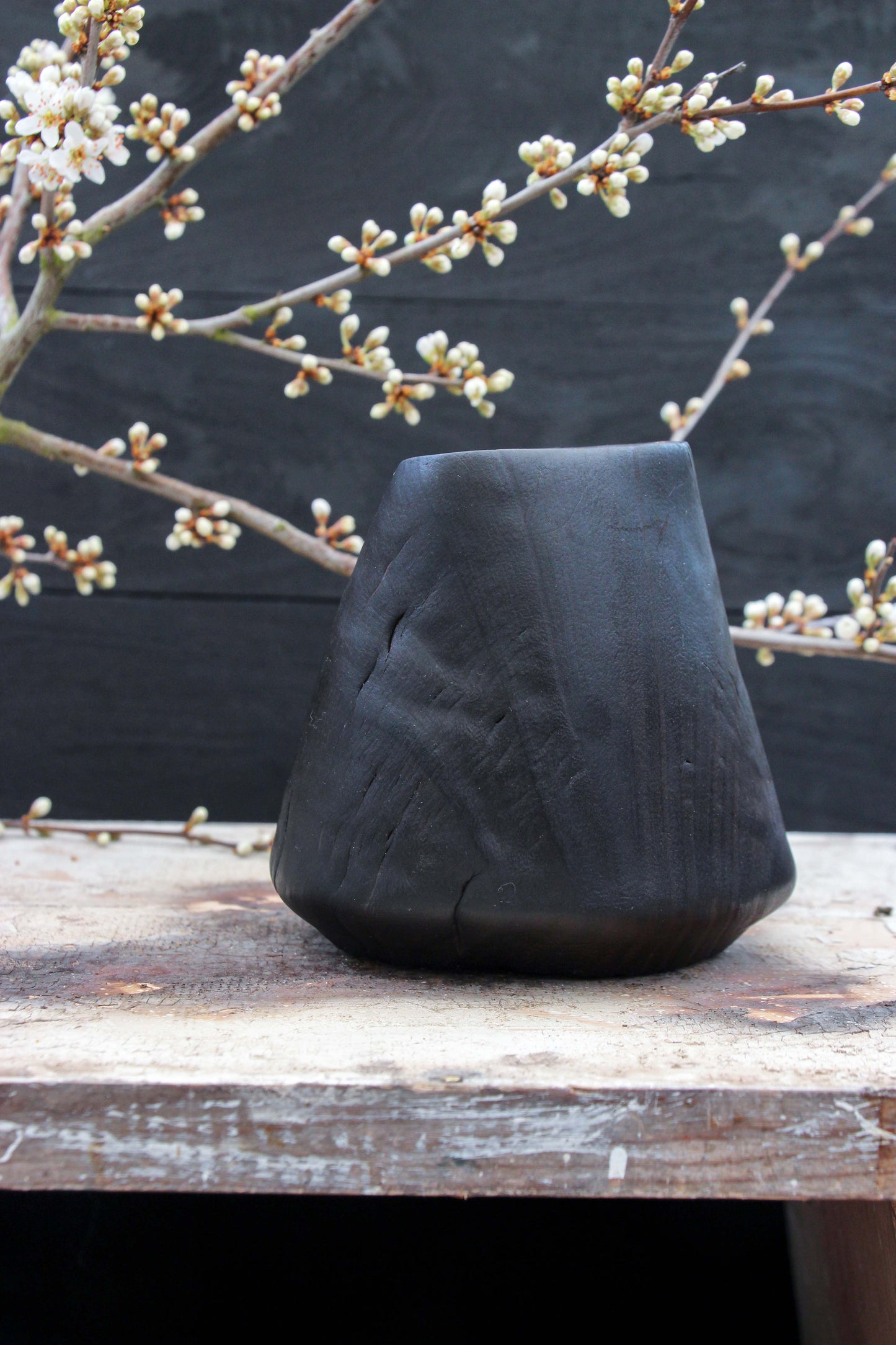 Eucalyptus Cone