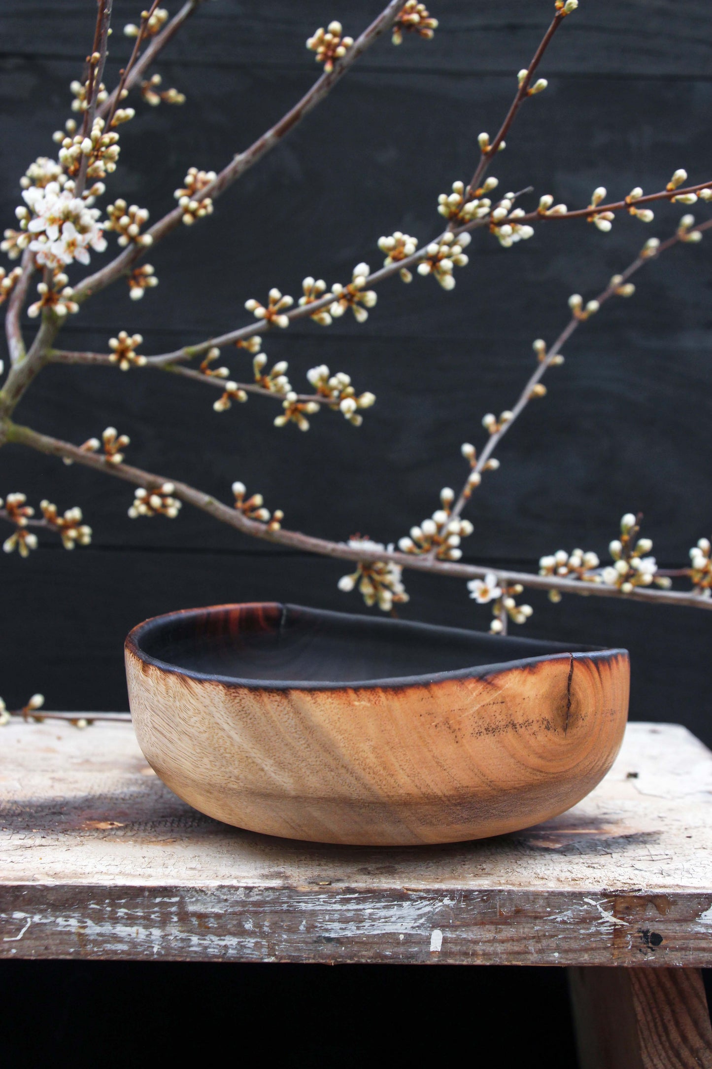 Eucalyptus Bowl of Fire