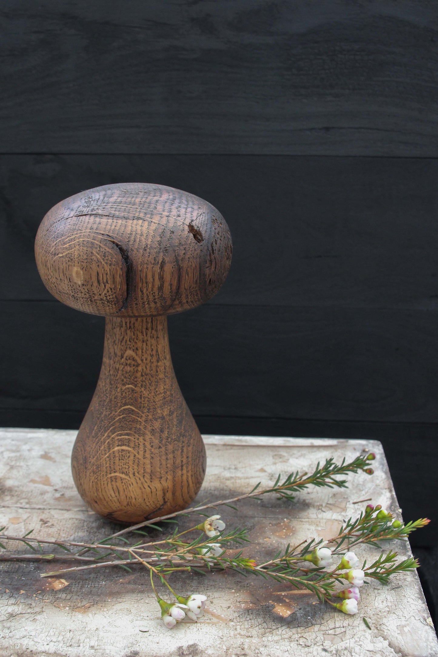 Large Oak Mushroom
