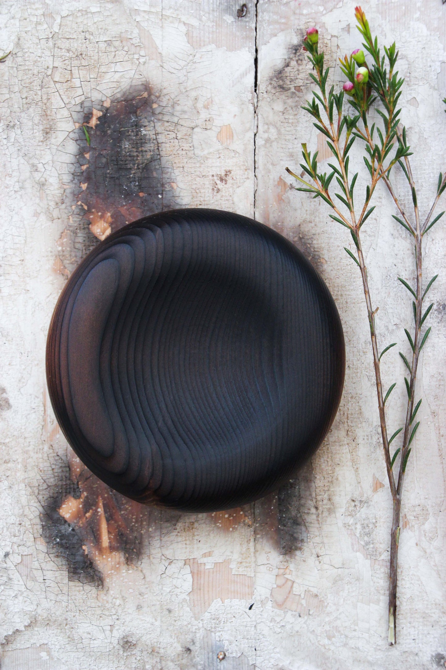 Pillow Pine #1