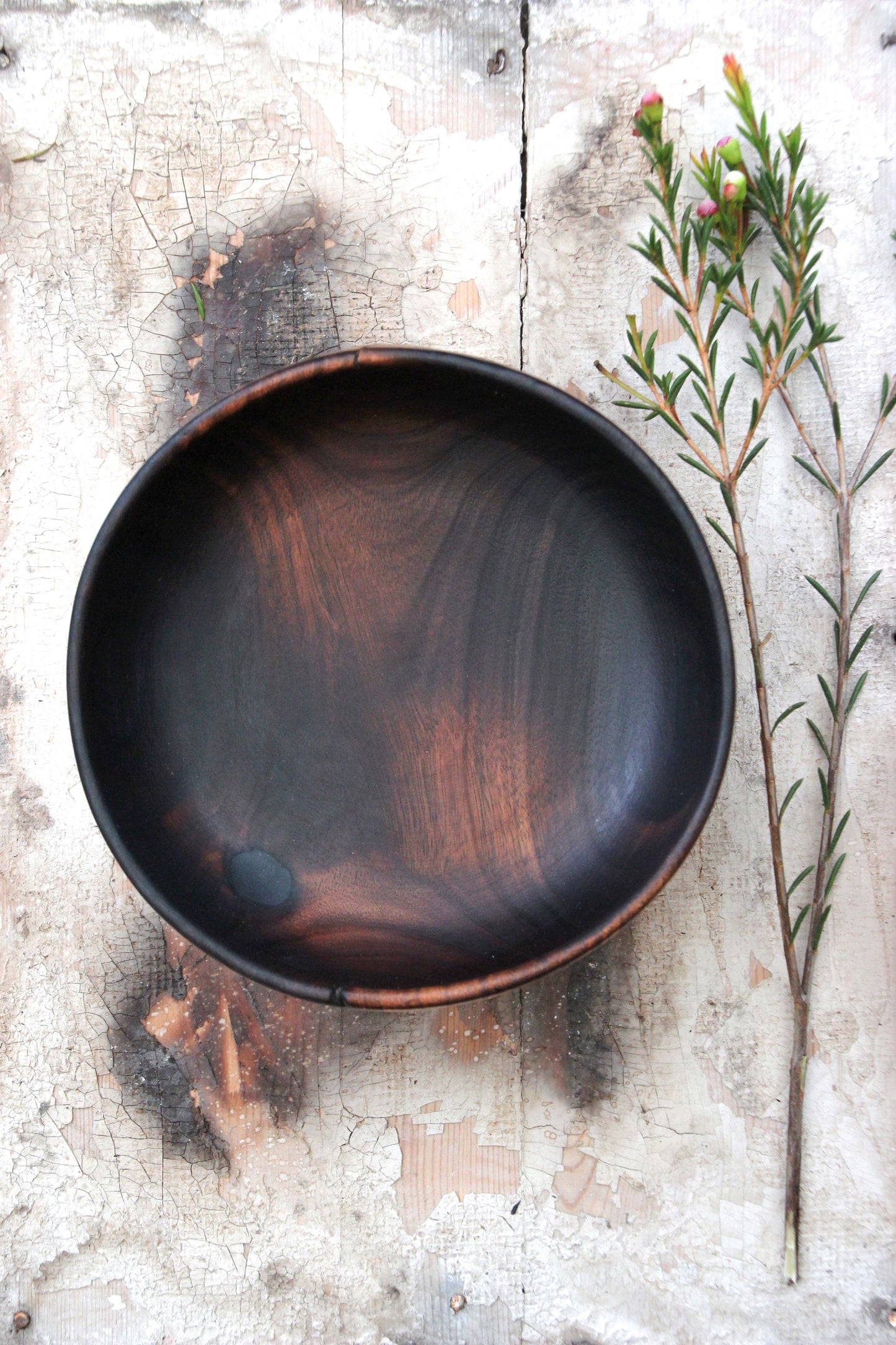 Eucalyptus Bowl of Fire