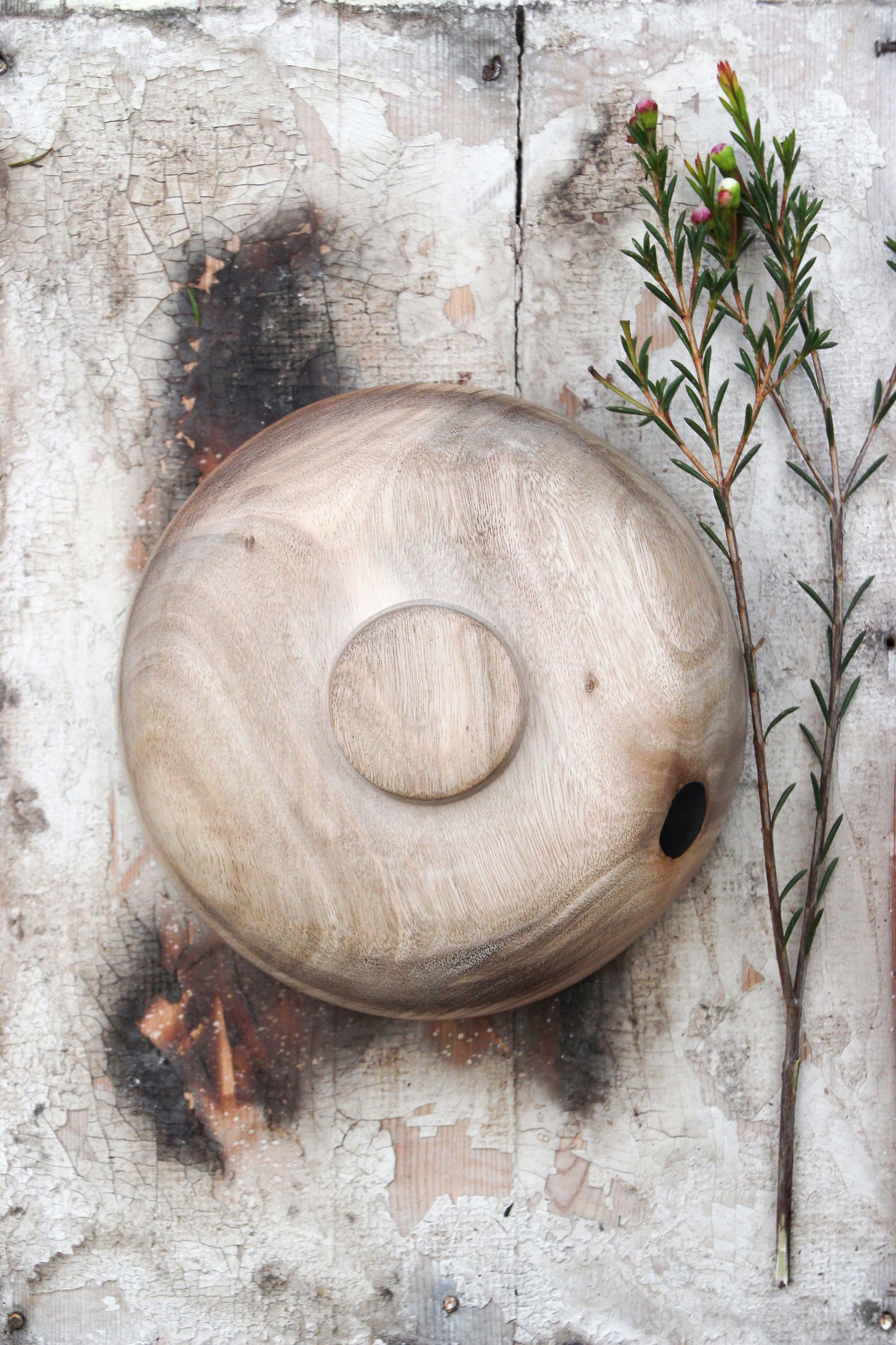 Eucalyptus Bowl of Fire