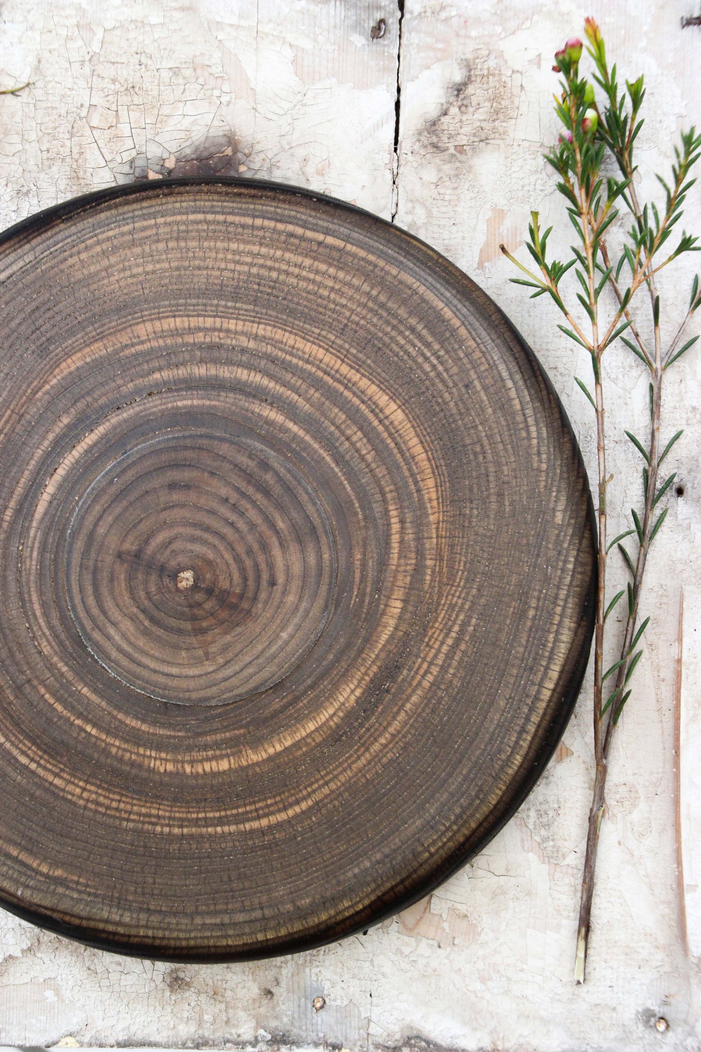 Tray End-Grain Ash