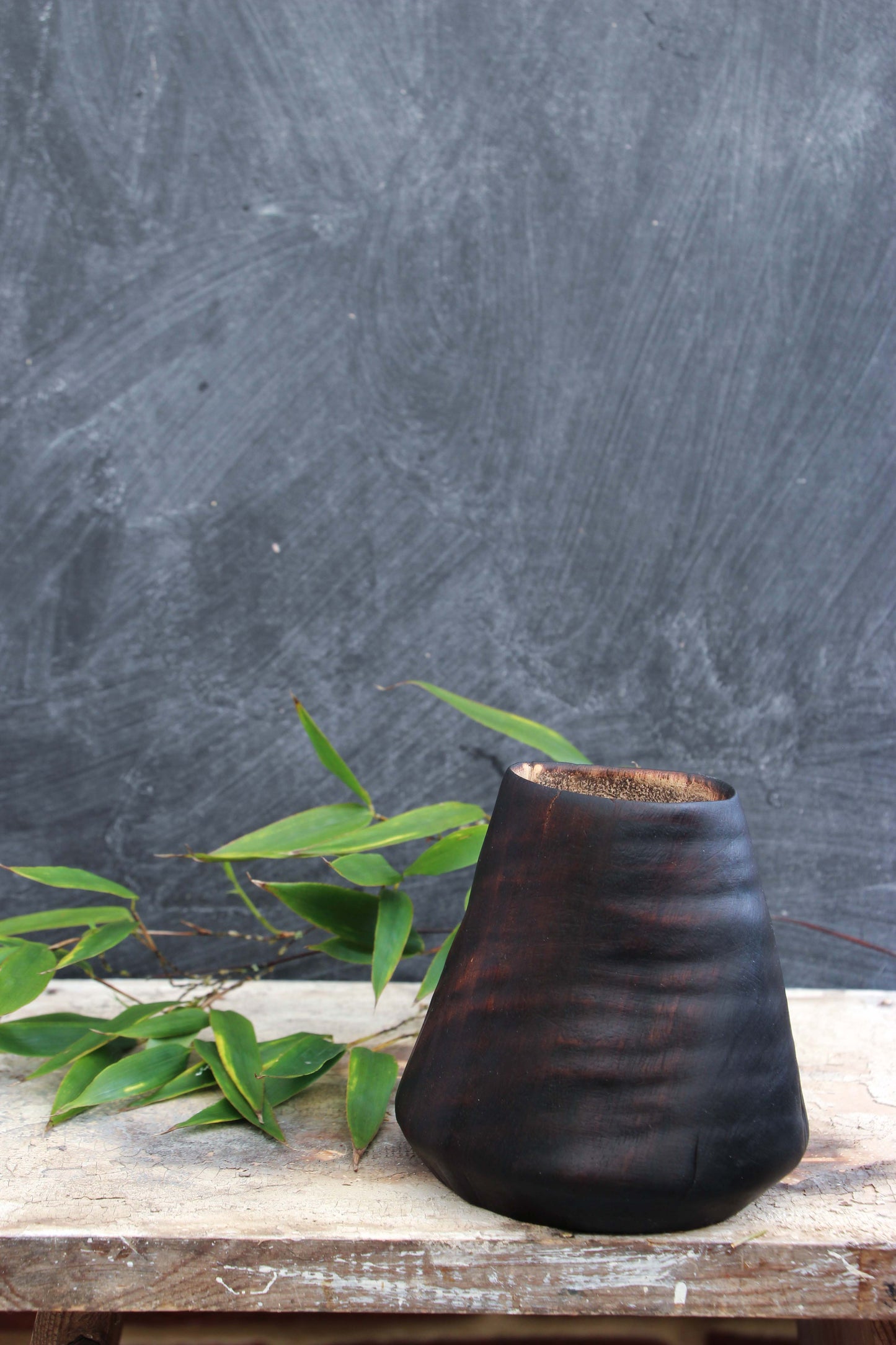 Eucalyptus Cone