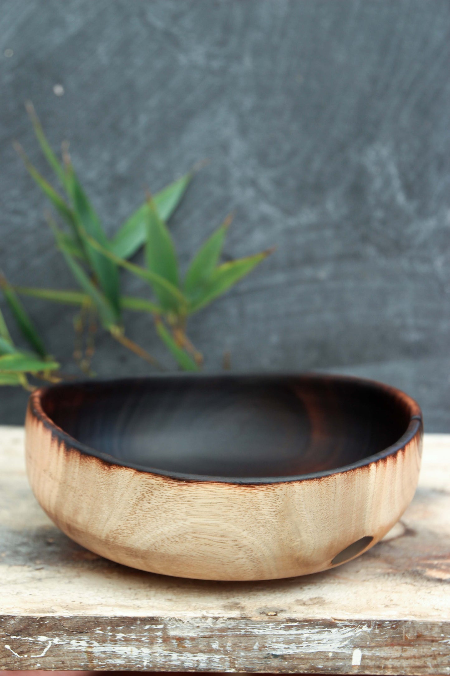 Eucalyptus Bowl of Fire