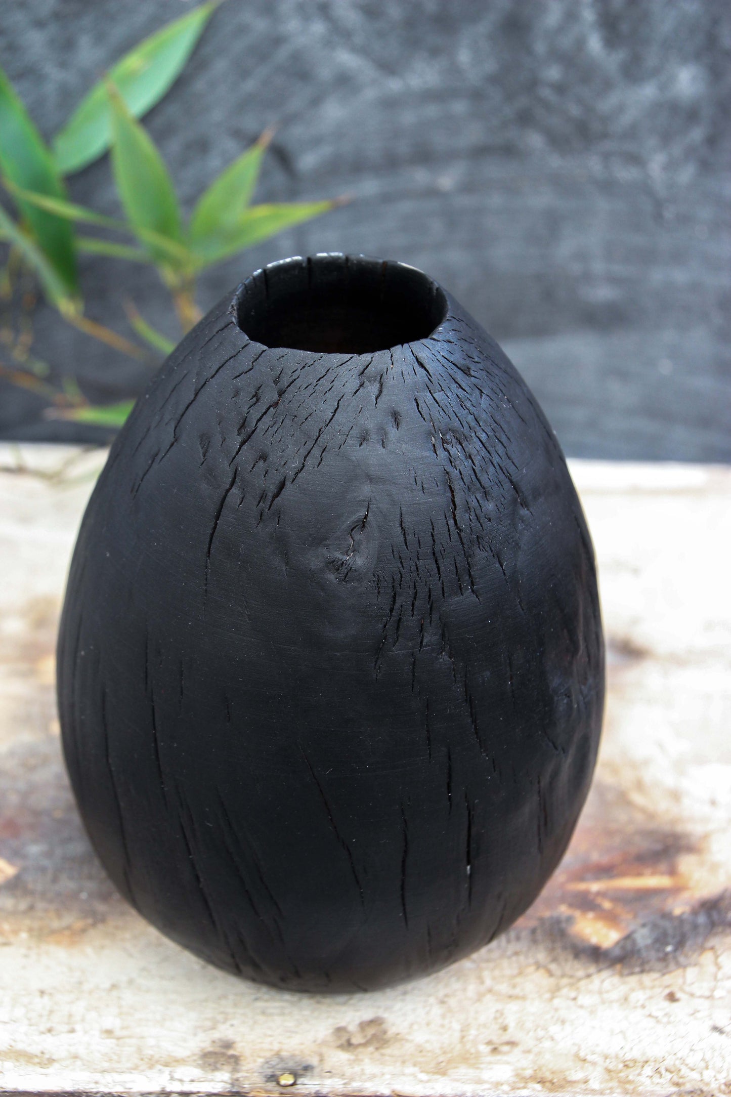 Dragon Egg #1