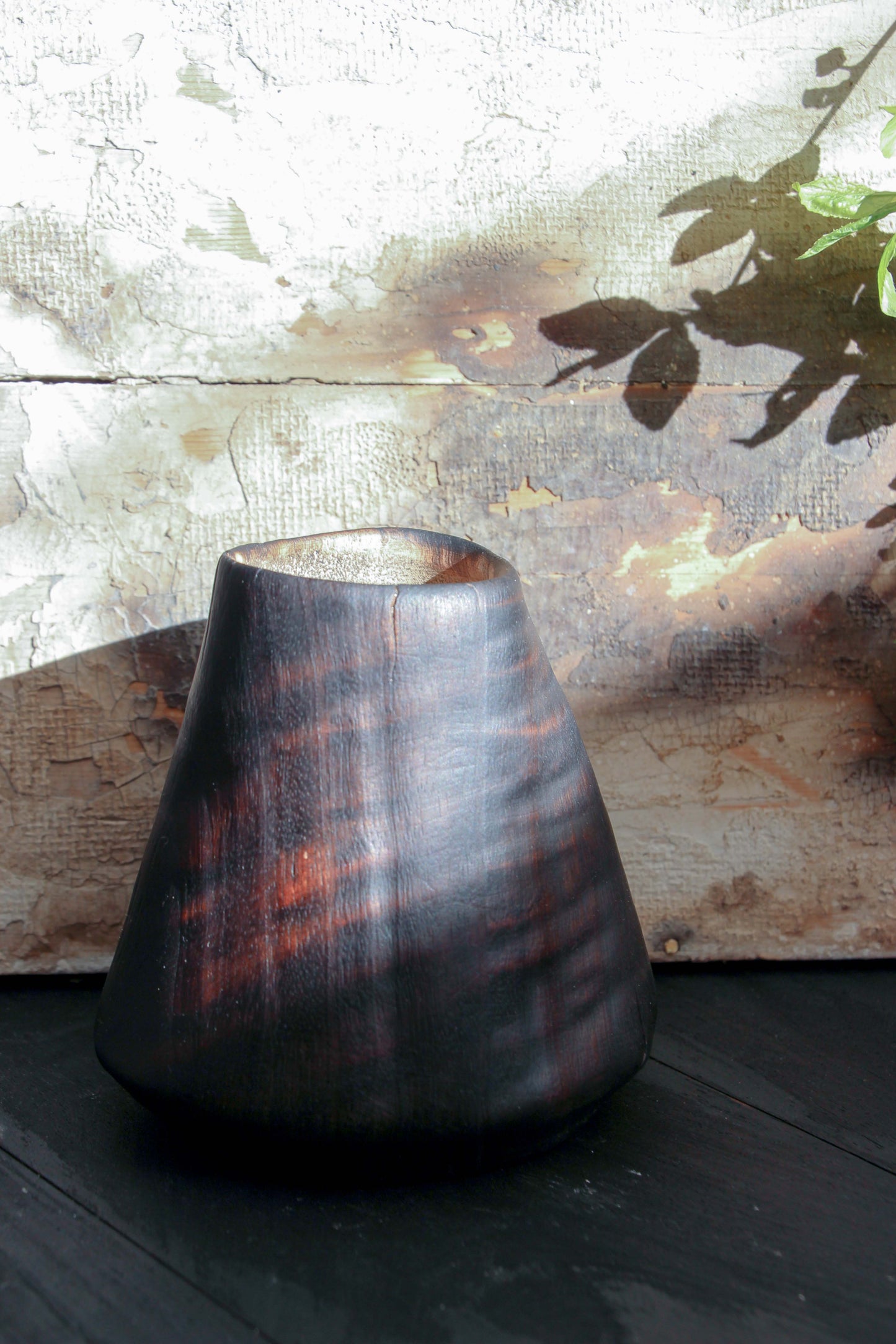Eucalyptus Cone