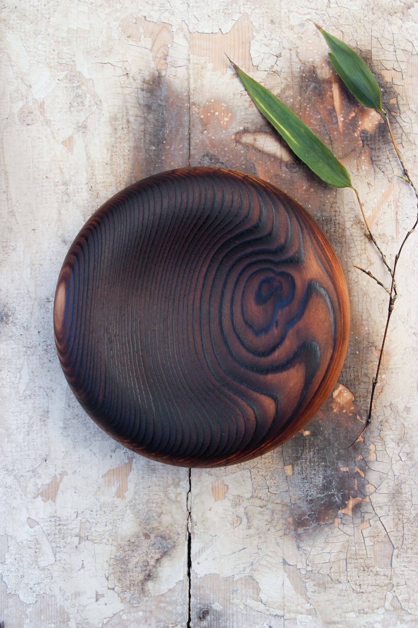 Pillow Pine #2