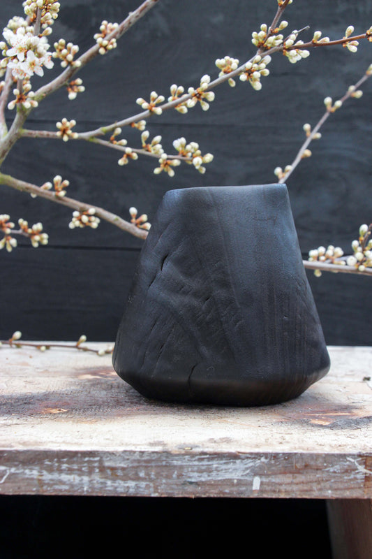 Eucalyptus Cone
