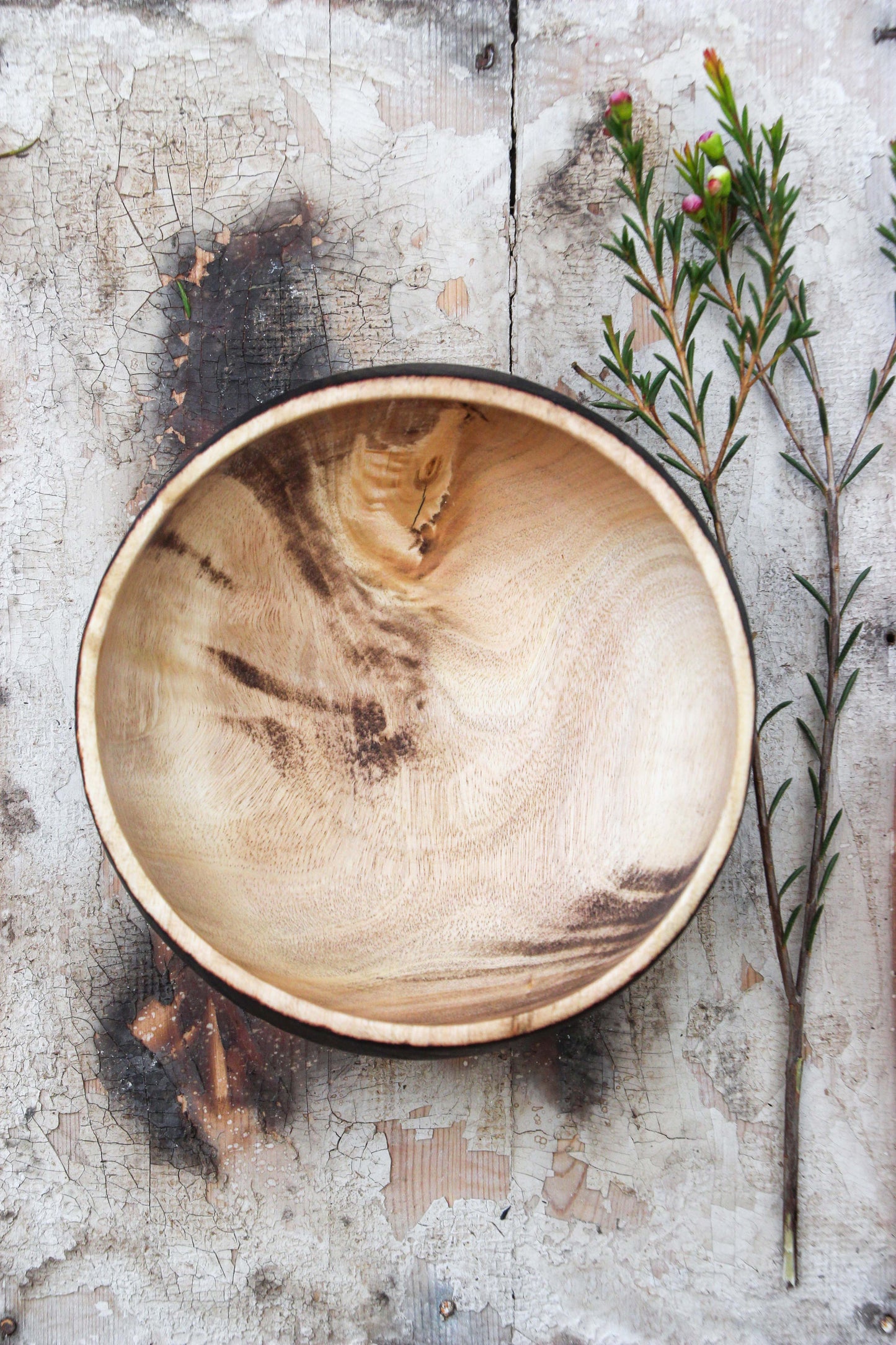 Eucalyptus Fired Bowl