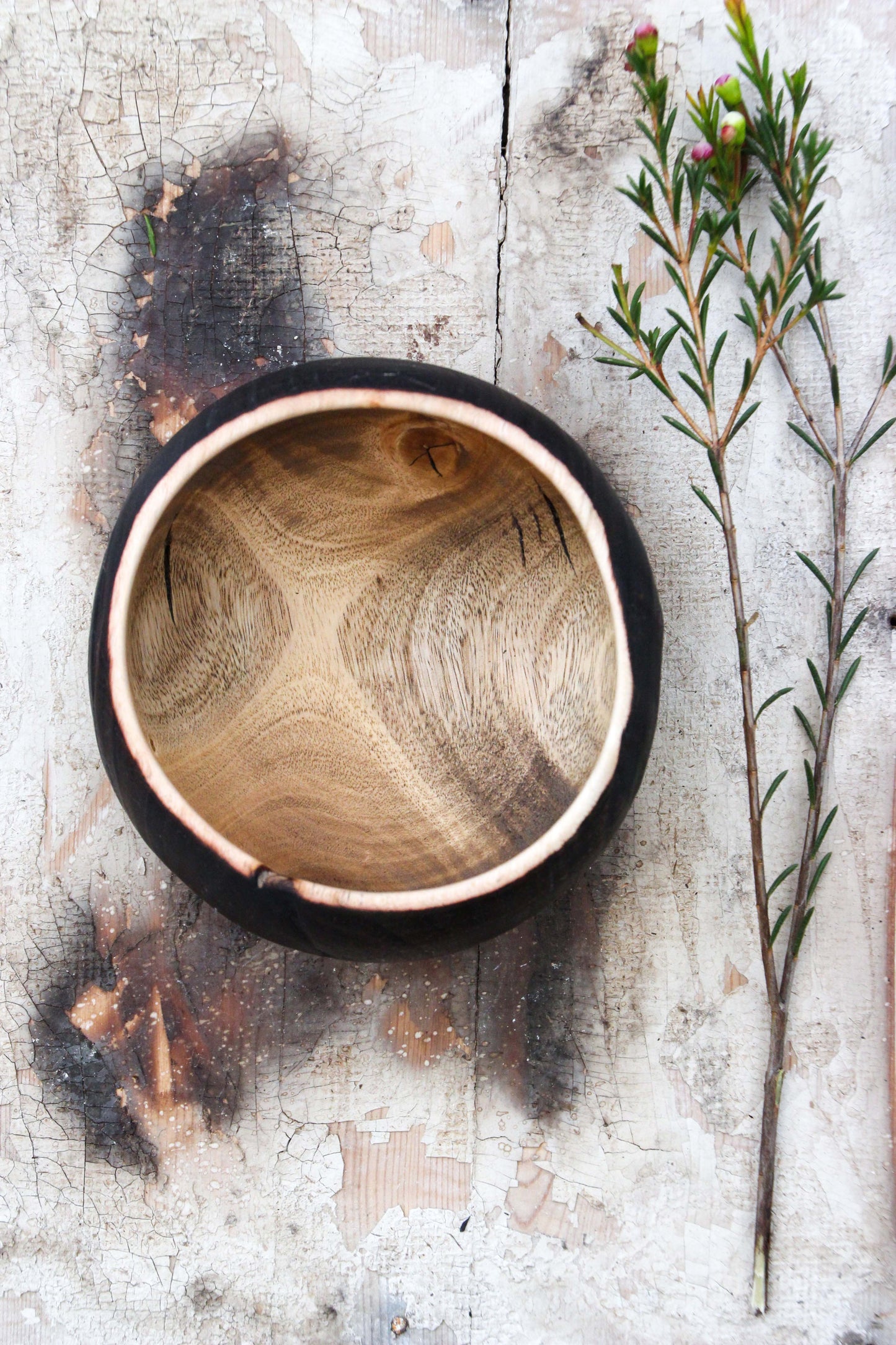 Eucalyptus Fired Bowl Small