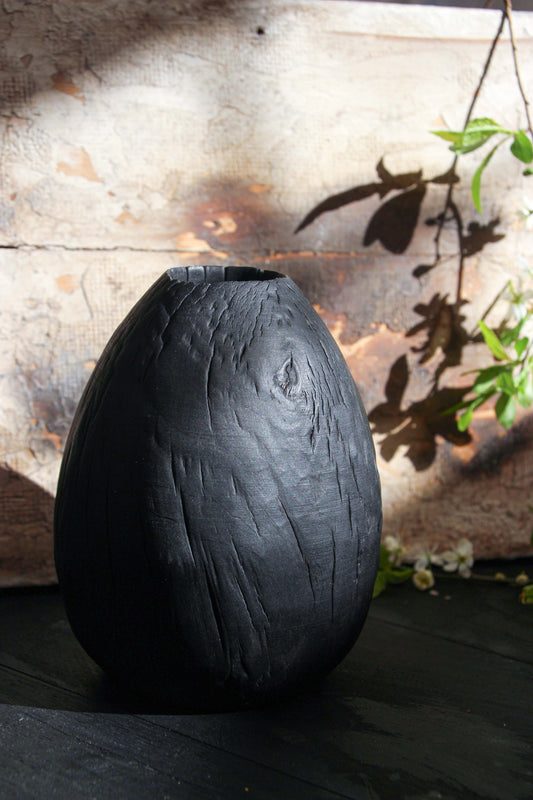 Dragon Egg #1